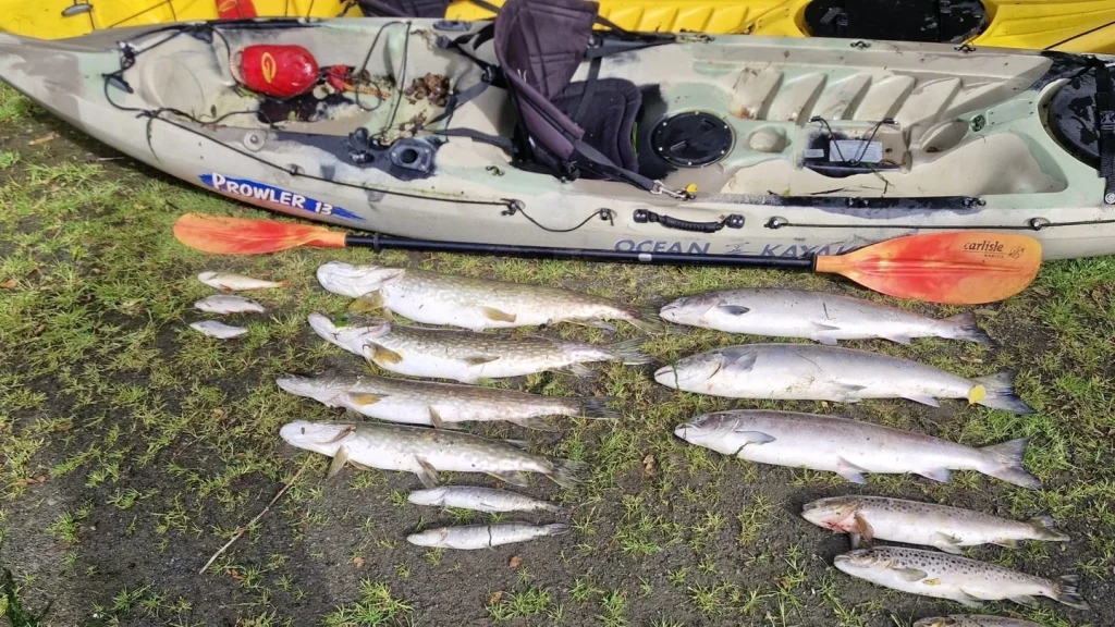 River Glyde Fish Kill Highlights Urgent Need for River Protection