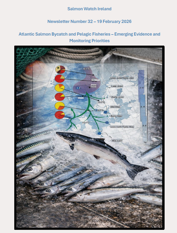 Pelagic Fisheries and Salmon