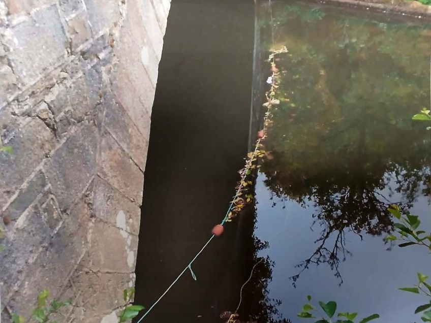 Wexford Man Fined and Sentenced to Two Months for Using Illegal Fishing Nets