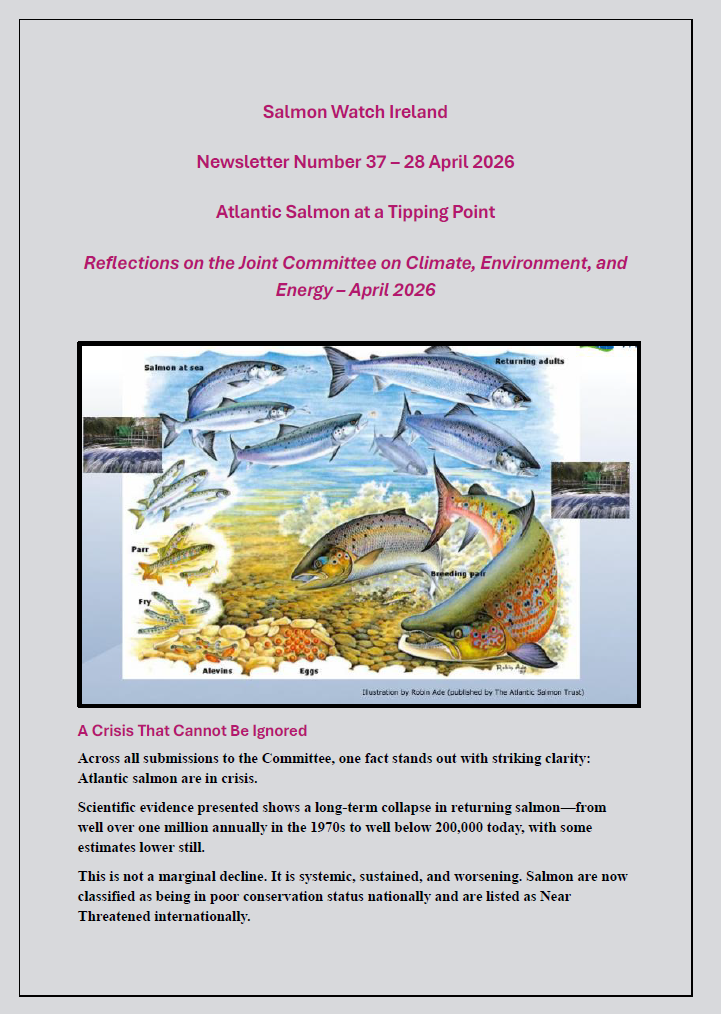 Joint Oireachtas Committee – Salmon Conservation – Newsletter Number 37