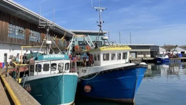 Podcast: Government Failures Spark Existential Crisis for English Fishing