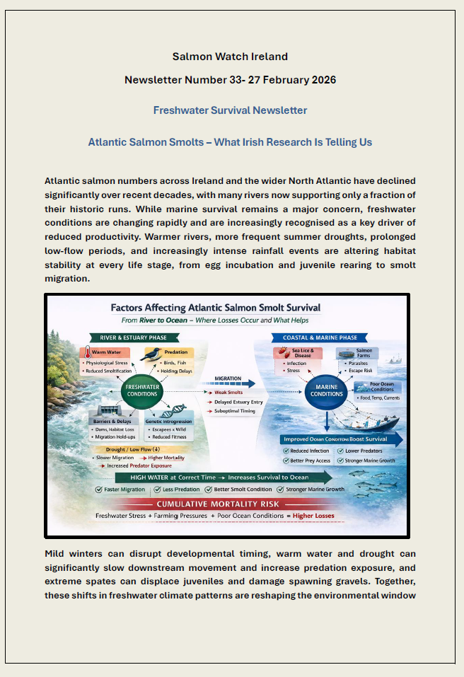 Salmon Watch Ireland Newsletter Number 33- 27 February 2026 Freshwater Survival Newsletter