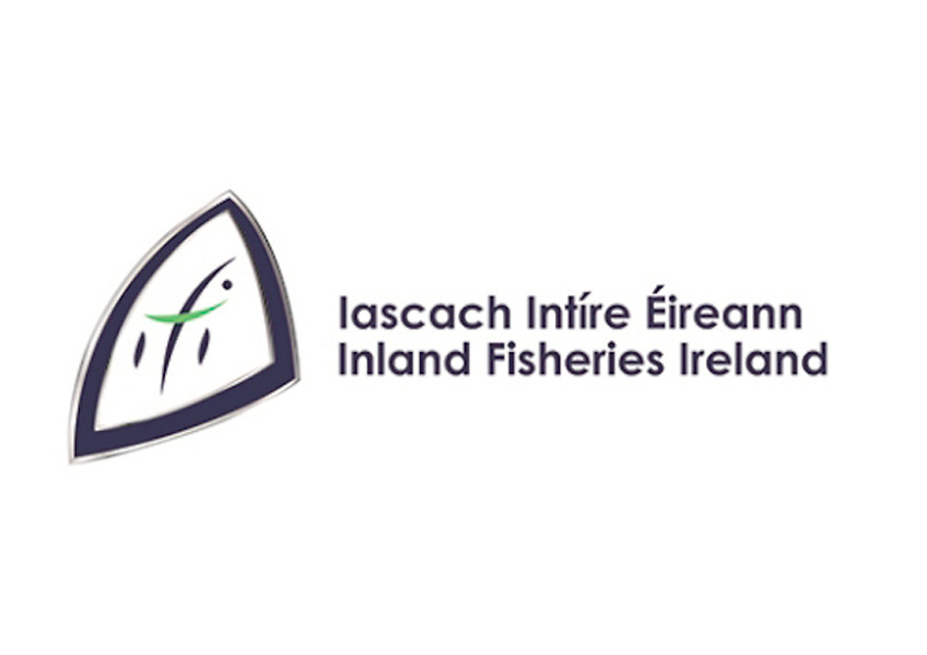 Final Call for Applications for Commercial Salmon Fishing Licences 2026 (Draft Net)
