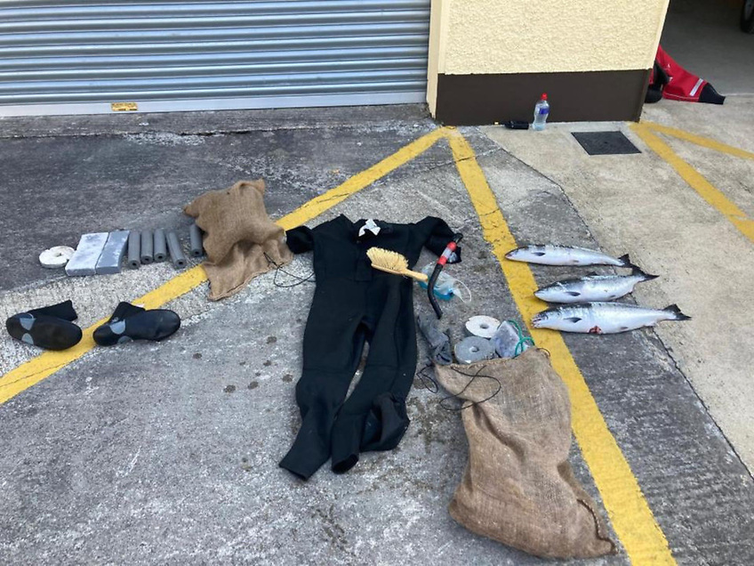 Man Convicted for Illegal Salmon Netting at Sea Was Caught With Wetsuit and Snorkel, Court Hears