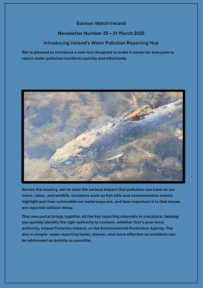 Newsletter Number 35 – 31 March 2026 -Pollution Portal Salmon Watch Ireland