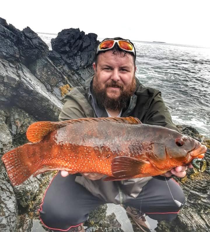Ballan Wrasse - Photo by David Ogilvie