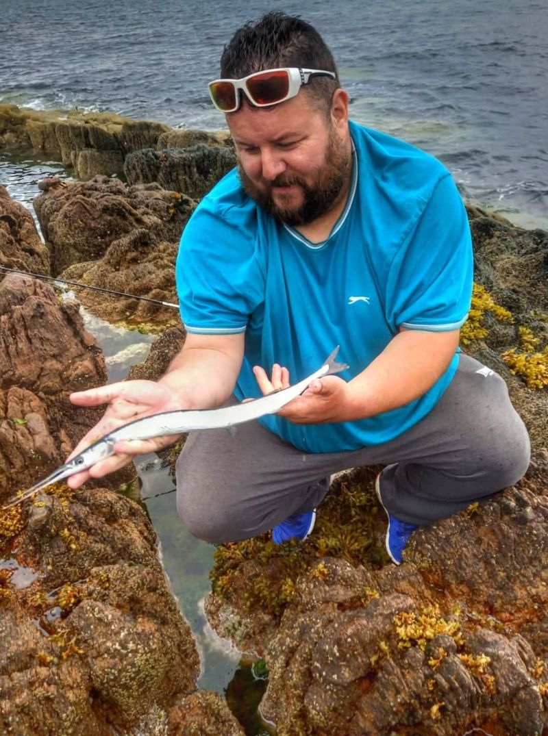 Garfish - Photo by David Ogilvie