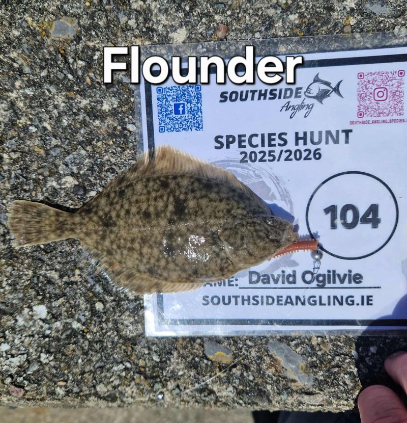 Flounder - Photo by David Ogilvie